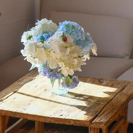 Am Gutspark Drankse Strandhafer Lejlighed Dranske